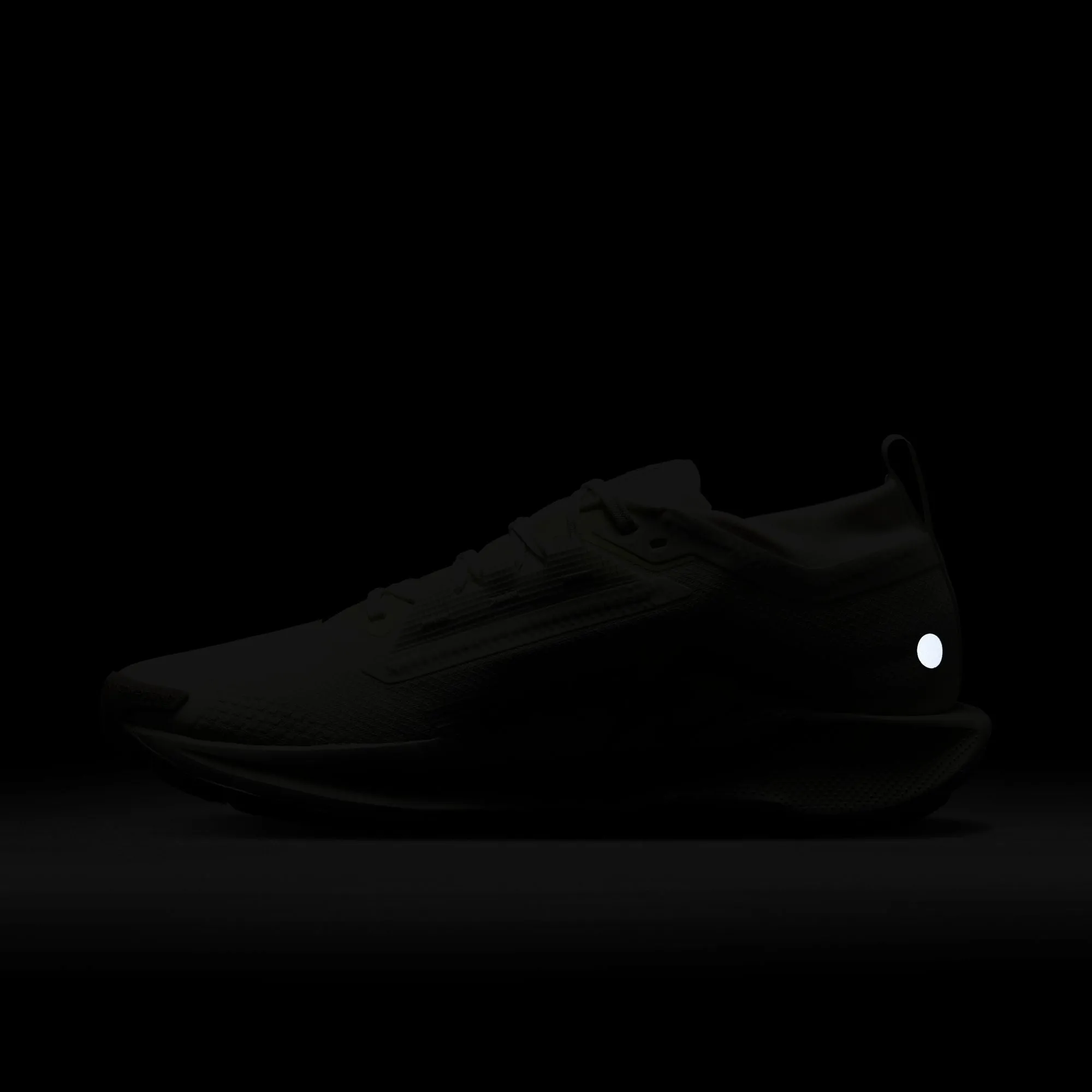 Men??s React Pegasus Trail 5 GORE-TEX (102 - Summit White/Sequoia-Light Silver)