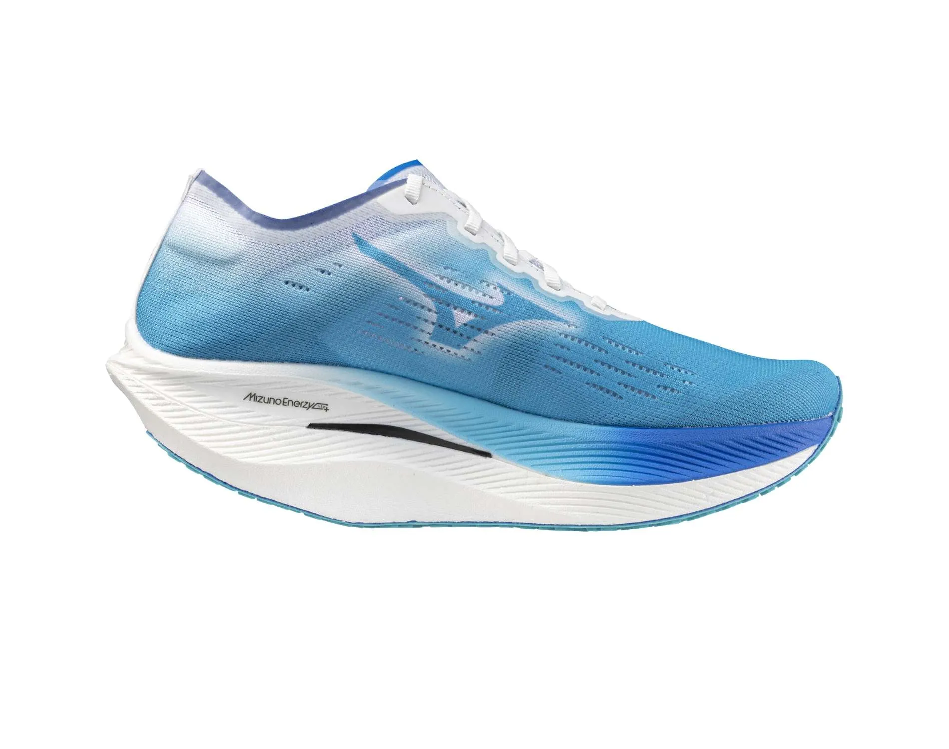 Mizuno Wave Rebellion Pro 2 Mens