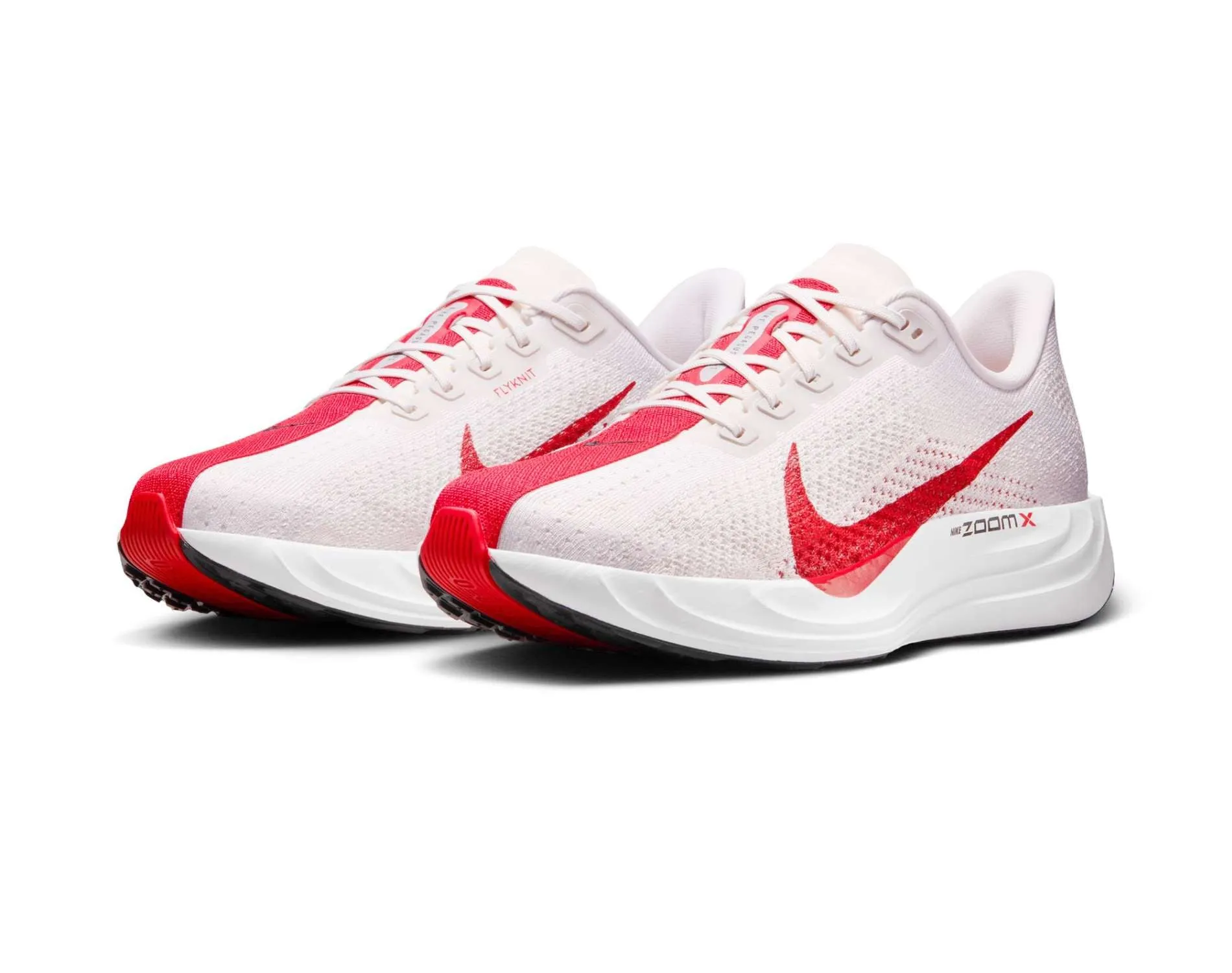 Nike Pegasus Plus Mens